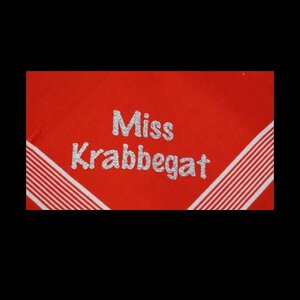 zakdoek Miss krabbegat glitter Zilver