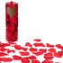 Set 288 Polyester rose petals red_