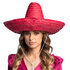 St. Sombrero Puebla rood (¯ 49 cm)_