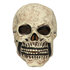 St. Latex hoofdmasker Skull_